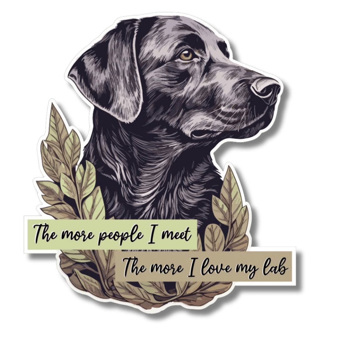 The More People I Meet